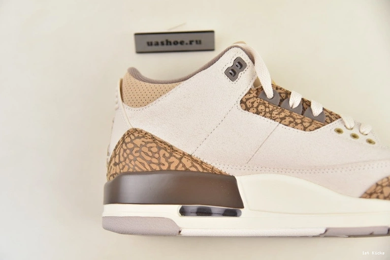 3 Palomino Air Jordan CT8532-102 0425